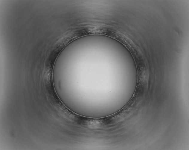 X0000111920513200908031207