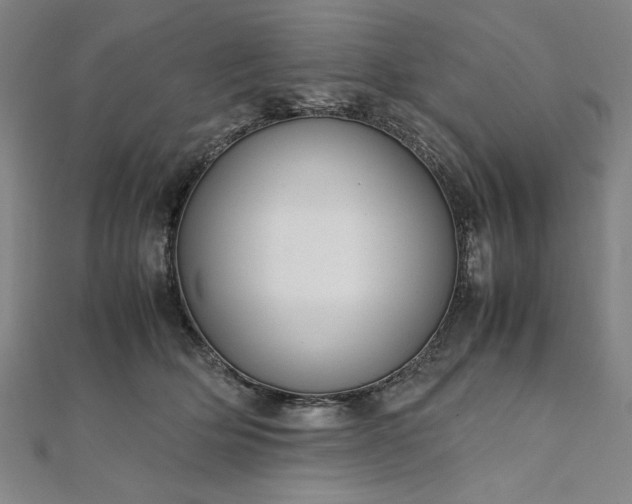 X0000111920514200908031207