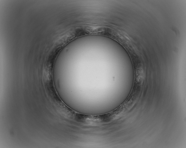 X0000111920515200908031207