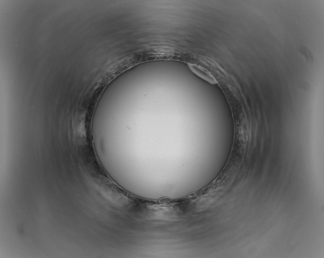 X0000111920516200908031207