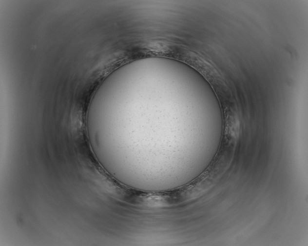 X0000111920518200908031207