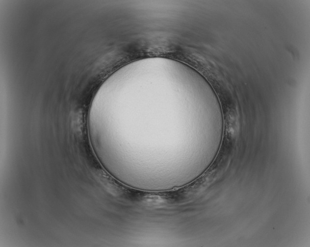 X0000111920519200908031207