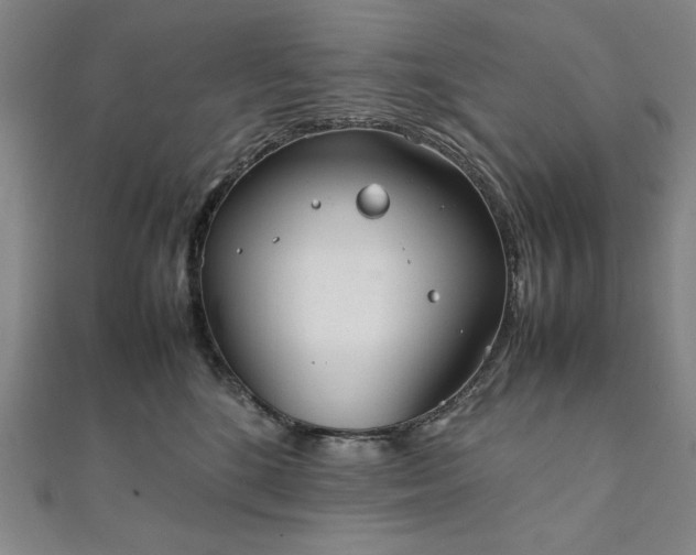 X0000111920520200908031207