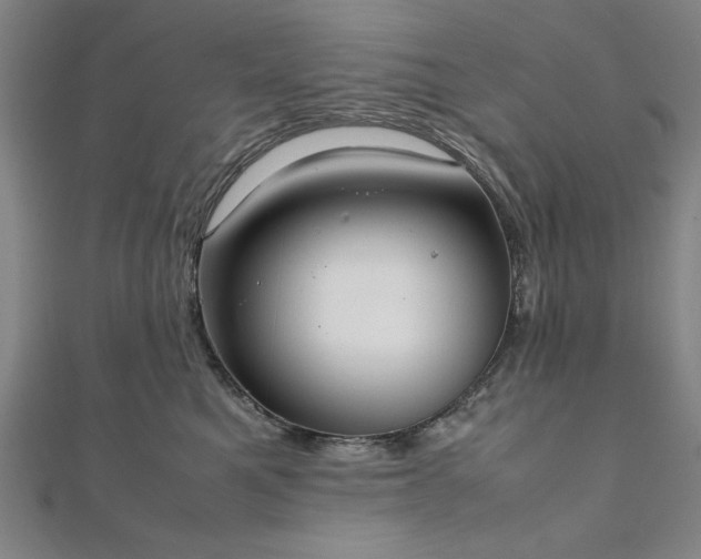 X0000111920521200908031207