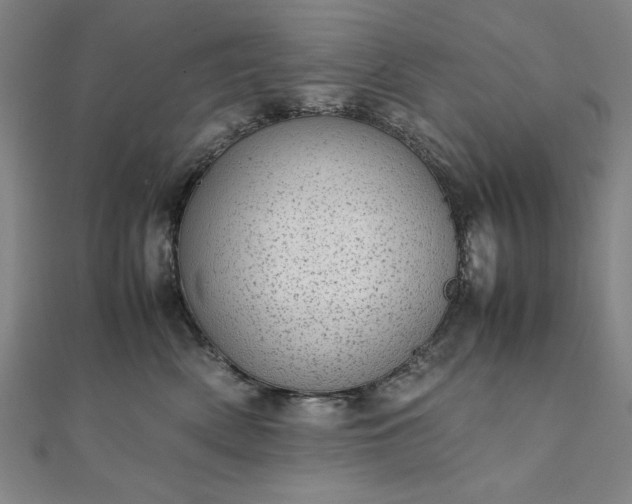 X0000111920522200908031207