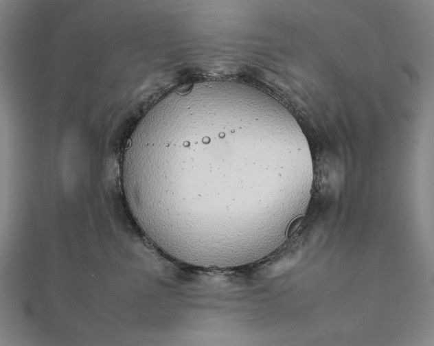 X0000111920523200908031207