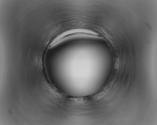 X0000111920524200908031207