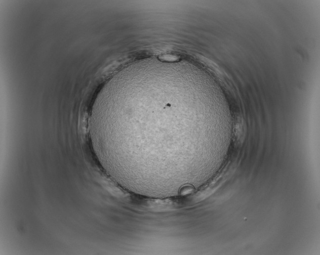 X0000111920525200908031207