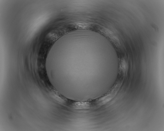 X0000111920526200908031207