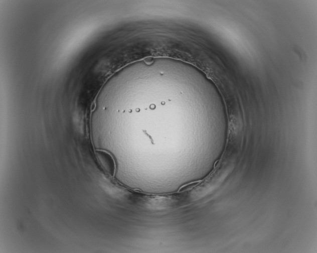 X0000111920527200908031207