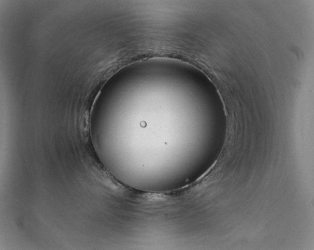 X0000111920528200908031207