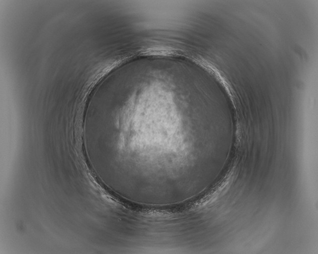 X0000111920529200908031206