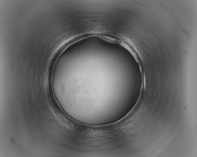 X0000111920531200908031207