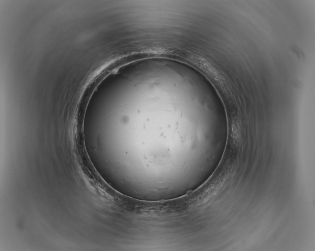 X0000111920532200908031207