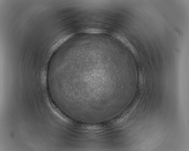 X0000111920533200908031207