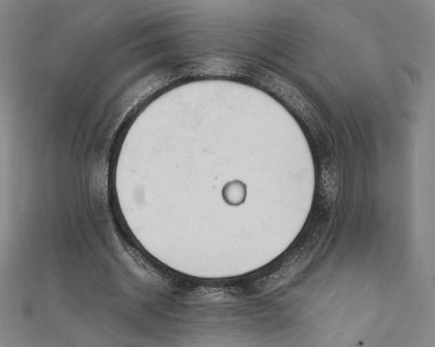 X0000111920534200908031207