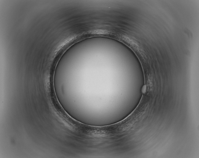 X0000111920535200908031207