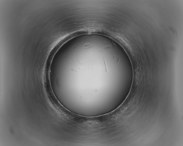 X0000111920536200908031207