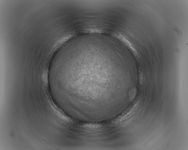 X0000111920537200908031207