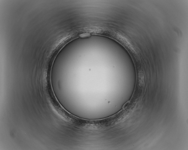 X0000111920538200908031207