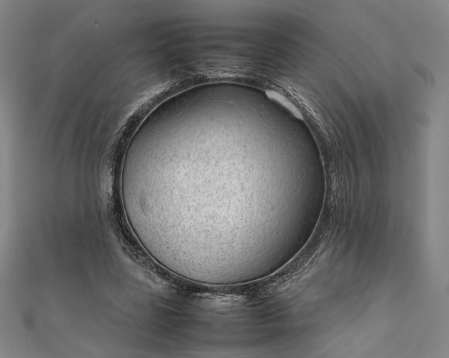 X0000111920539200908031207