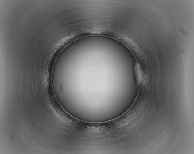 X0000111920540200908031207