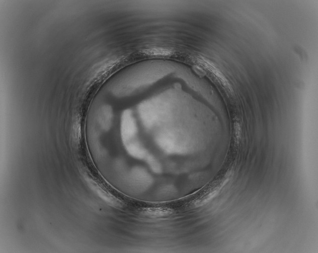 X0000111920541200908031207