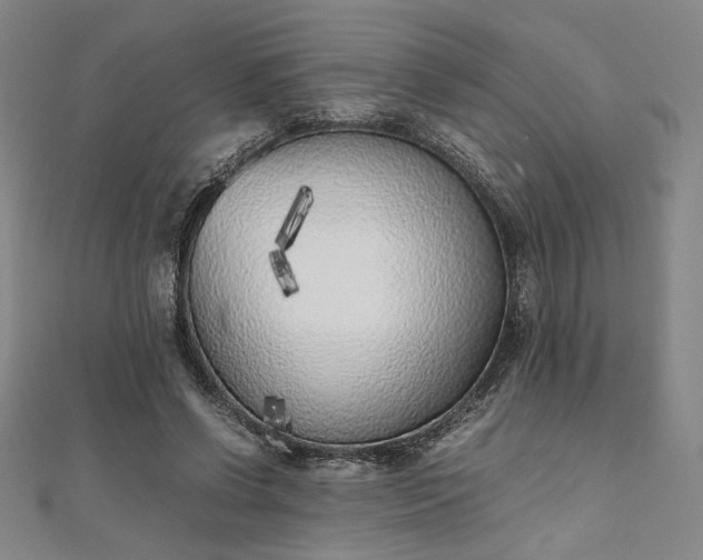 X0000111920542200908031207
