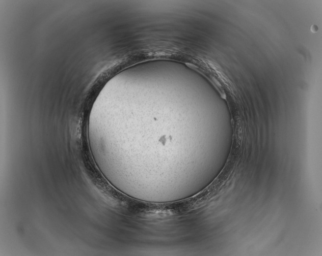 X0000111920543200908031207