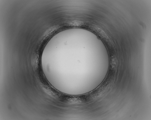 X0000111920544200908031207