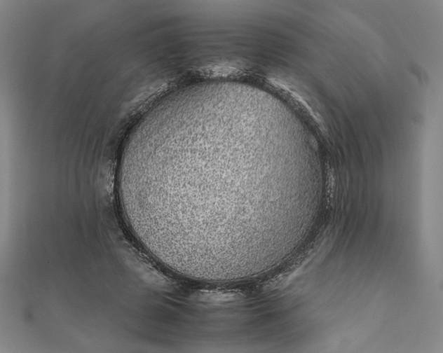 X0000111920545200908031207