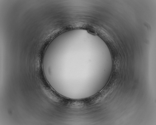 X0000111920546200908031207