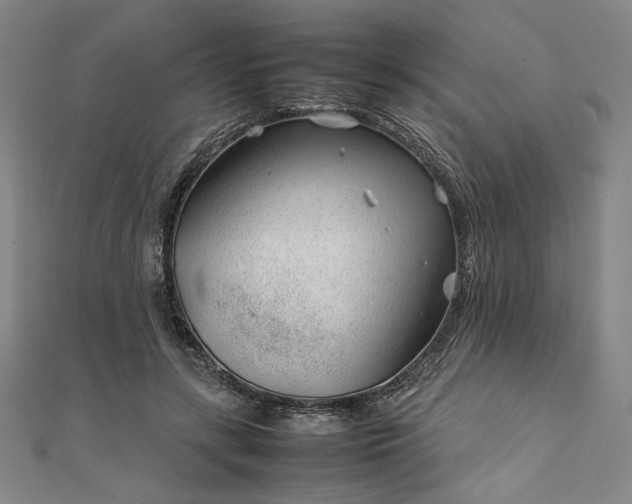 X0000111920547200908031207