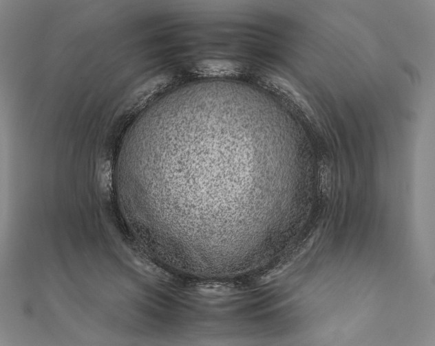 X0000111920549200908031207