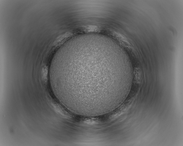 X0000111920550200908031207