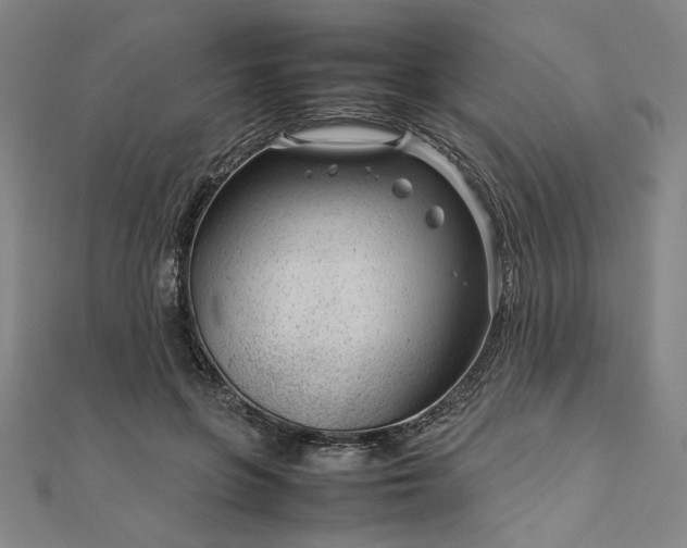 X0000111920551200908031207