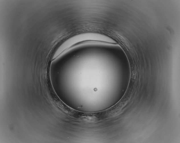 X0000111920552200908031207