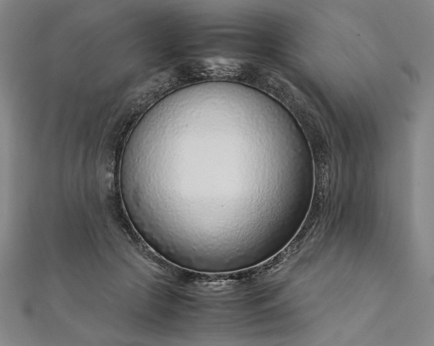 X0000111920553200908031207