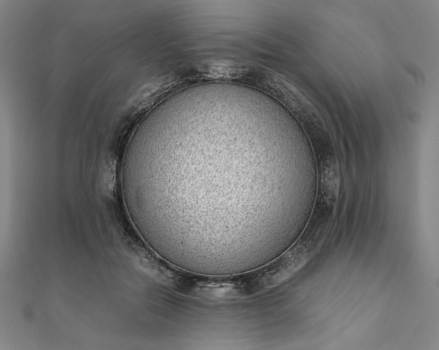 X0000111920554200908031207