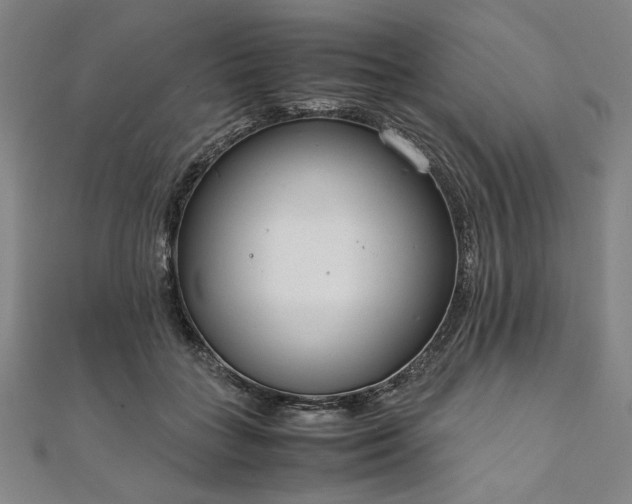 X0000111920555200908031207