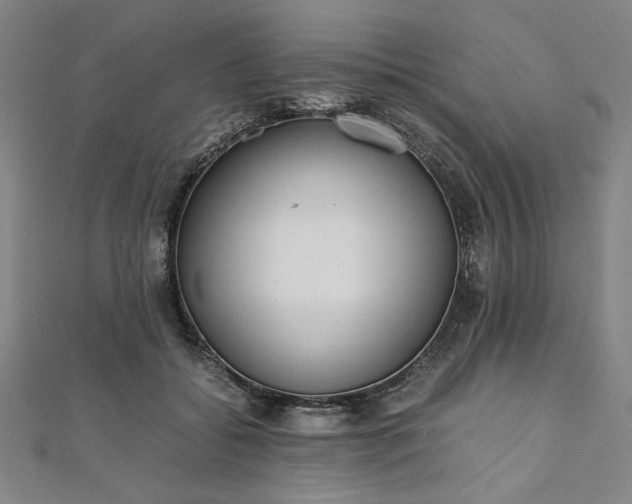 X0000111920556200908031207