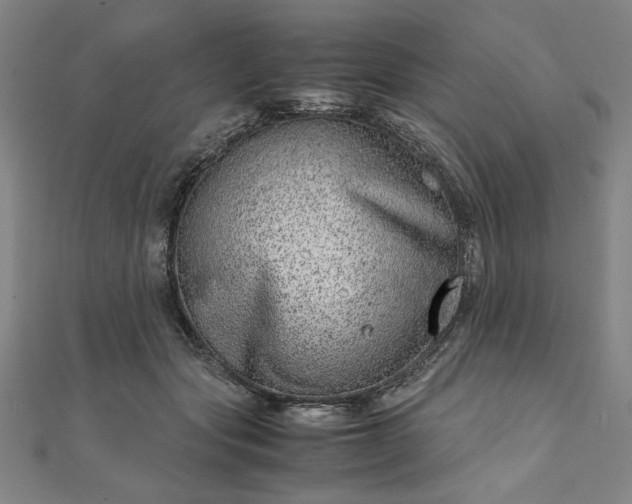 X0000111920557200908031207