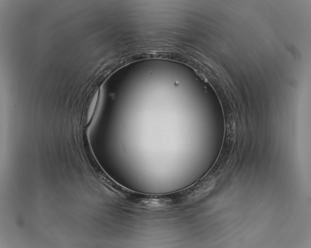 X0000111920558200908031207