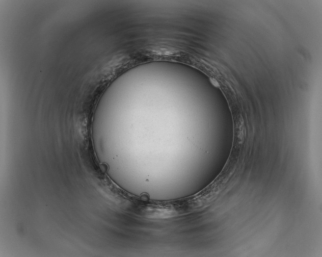 X0000111920559200908031207