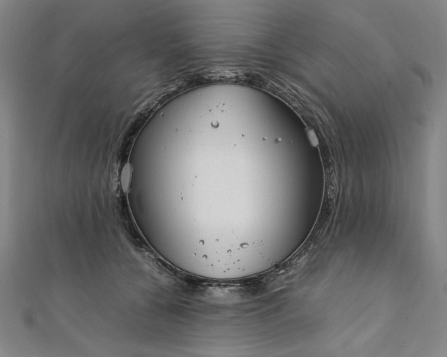 X0000111920560200908031207