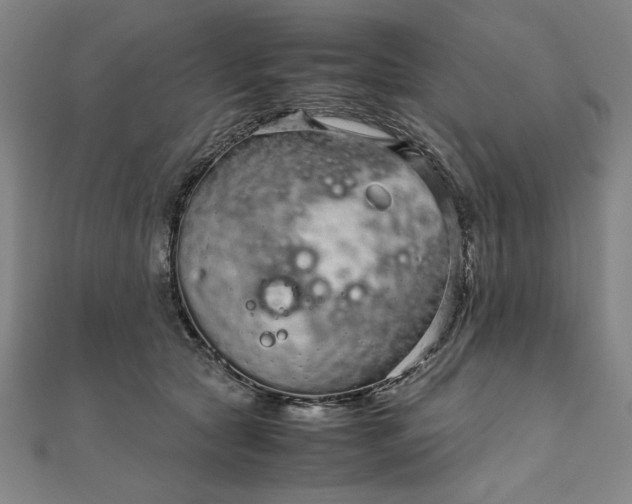 X0000111920561200908031207