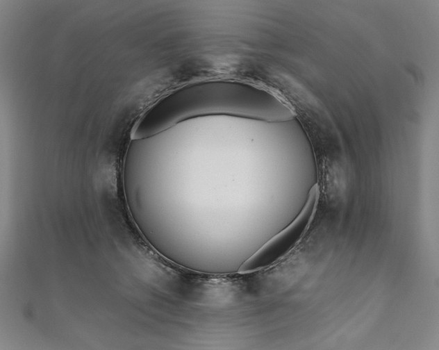 X0000111920562200908031207