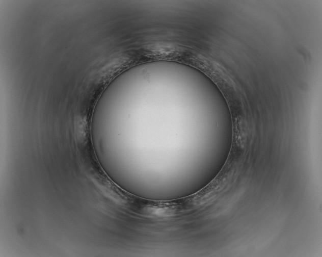 X0000111920563200908031207