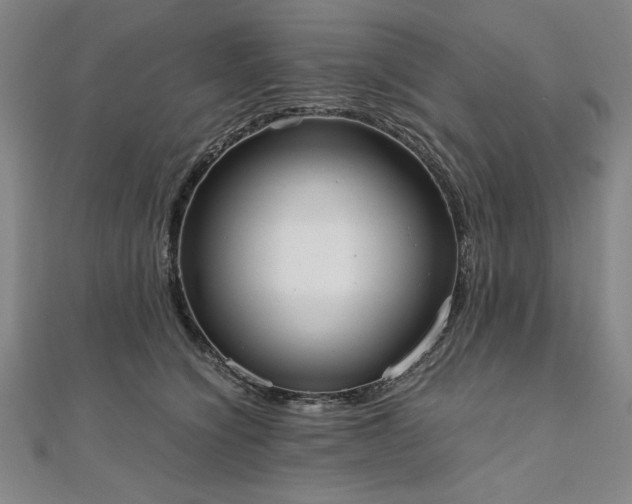 X0000111920564200908031207