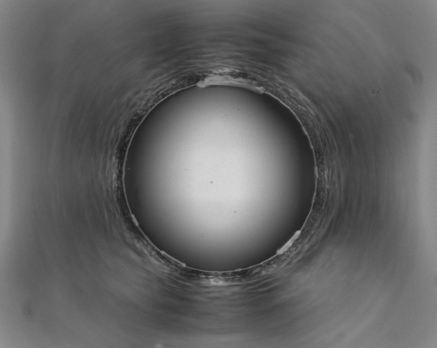 X0000111920565200908031207